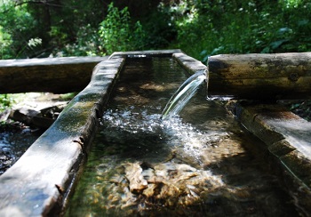 mountain spring water it should be noted that the parasite eggs.